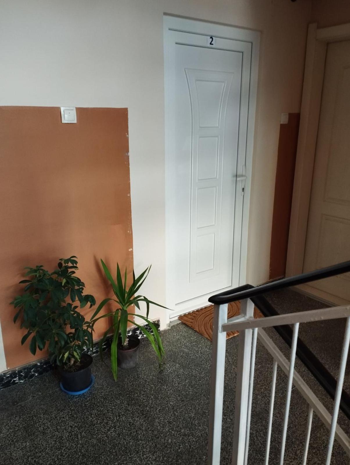 Apartman Buba II ** Daire Palić Dış mekan fotoğraf